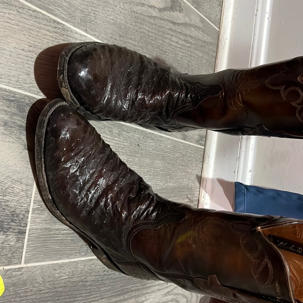 Lucchese ostrich boots